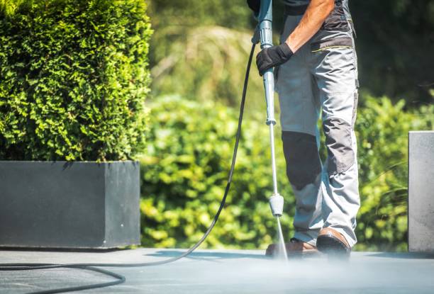 Best Roof Washing  in Newton, MS