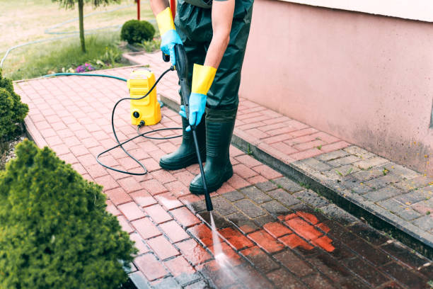 Animal Enclosure Cleaning in Newton, MS